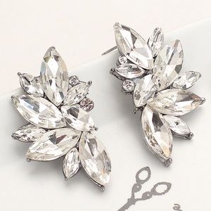 Brand new Glass Rhinestone earring